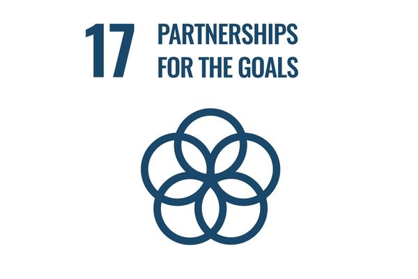 17 partnerships for the goals
