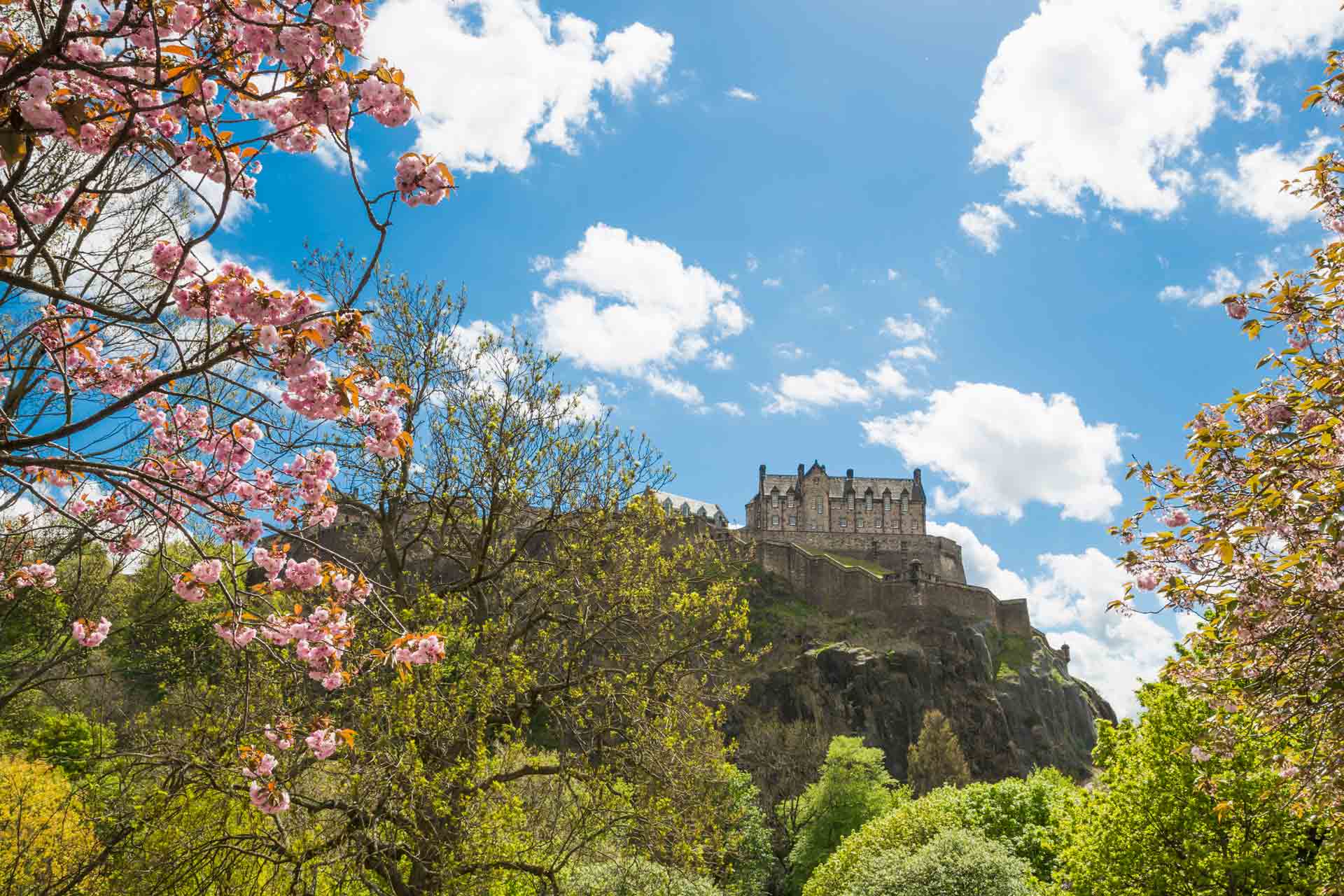 Looking through pink blossoms to Edinburgh Castle from Princes Street Gardens